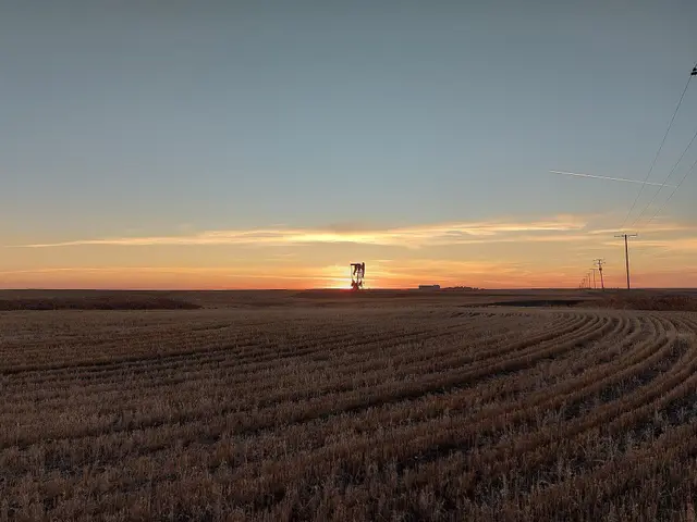 Pump jack in a stubble field at sunset